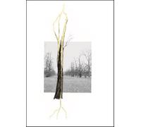 Giuseppe Penone Thoughts in the Roots /anglais: Serpentine Gallery, London