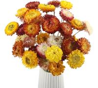 GIUSOBG Flores Secas Preservadas Naturales 20Piezas Flores Secas Decoracion | Crisantemo Flore Manualidades Colores Mixtos para Decoracion Ramos DIY Arreglos Florales de Boda y Home Decoration