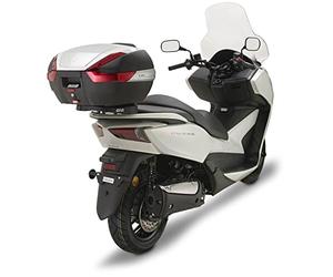 GIVI SR1123 Baúl Tirante para Monokey Baúl con M7 Placa, Carga Máxima 6 Kg