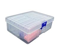 GIYXHU Caja de almacenamiento plástico transparente for manualidades, pintura diamantes con cuentas DIY, caja accesorios joyería for bordado artístico, 2 uds para Artículos(24 grids)