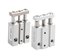 GJEXXPTST Cilindro de Varilla guía en Miniatura Serie MGJ TCM MGJ6-5 MGJ6-10 MGJ6-15 MGJ10-5 MGJ10-10 MGJ10-15 MGJ10-20 1 Uds(MGJ6x10-S)