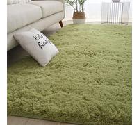 GJGHKLHL Alfombra de Lujo esponjosa for salón, Antideslizante, Moderna, súper Suave, Pelo Grueso, Grande, for Comedor, Dormitorio, decoración del hogar(Green,60 * 90cm)