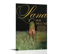 GJLXVN SOS Deluxe LANA - Pinturas de pared impermeables y resistentes a las manchas, pinturas decorativas de alta definición, para estudio y cafetería, resistentes a la decoloración, estilo marco, 50