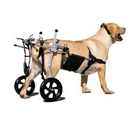 GJUOFFKO Silla de Ruedas Ajustable Grande para Perros, rehabilitación de Patas traseras, Ruedas de Cochecito para Perros de 2 Ruedas, Kit de Asistencia para Caminar