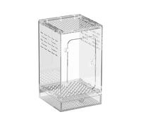 GkgWuxf Terrario Para Mante Religiosa - Terrario Acrílico Ventilado Para Arañas,Cría Transparente Para Mantes Religiosos,Para Reptiles Lagarto Gecko Mante Grillos Escorpión Escorpión Escorpión