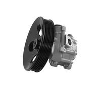 GKN Bomba hidráulica, dirección para ROVER: 200 Series, 400 Series (Ref: 53591)