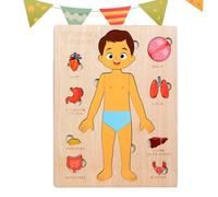 Gkumgwo Juguetes De Anatomía Infantil - Puzles Corporales Educativos De Madera,Juguetes de Desarrollo para Niñas Hospital Educación Estudiantes Adolescentes Enseñanza Infantil