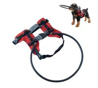 GKYQVE Collar de barrera para mascotas con discapacidad visual, ajustable, ayuda a la movilidad, para aplastar a mascotas con discapacidad visual, collar de barrera ajustable