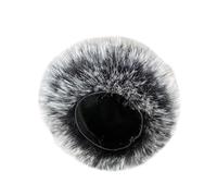 GKYQVE Fundas para micrófono, filtro de espuma para micrófono, cubrebocas, para grabadora portátil H4Essential, accesorio transparente