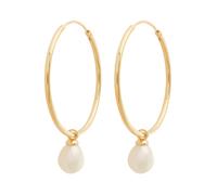 Glanzstücke München Pendientes oro / blanco perla One Size EUR