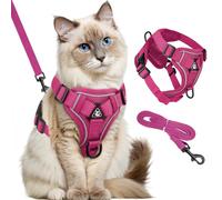 GlasFlength Arnés para Gatos con Correa, a Prueba de roturas, Correa para Gatos con arnés Ajustable para gat os, Juego de arnés Suave con Rayas Reflectantes (Rosa-L)