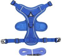GlasFlength Arnés para gatos con correa antiexplosión, correa para gatos con arnés ajustable - Harnai s flexible para cha t con bandas reflectantes (Dark Blue S)