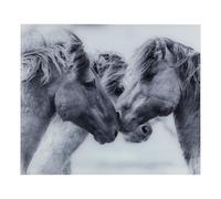 Glasrückwand Imagen 60 X 50CM Gris Protección Salpicaduras Estufa Fregadero