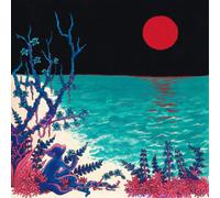 Glass Beach The First Glass Beach Album (CD) Album (Importación USA)