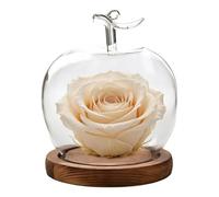 Glass Dome Display - Decoración decorativa Clear Display Bell Jar | Fruit Shape Desktop Decoration, Dustproof Figure Cloche Glass Dome | For Collectors Office Shop Retail Store Wedding Jewelry
