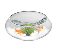 Glass Fish Bowl Vase - Wide Round Hydroponic Planter, Large Transparent Flower Pot Container, Shallow Decorative Display Vessel, Indoor Plant Bonsai Suculent Holder | Home Centerpiece Arrangement