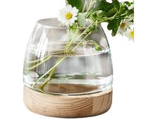 Glass Plant Aquarium - Modern Wooden Frame Small for Creative Greenery Arrangement | Cylindrical Glass Vase with Stable Holder, Aquatic Plant Habitat