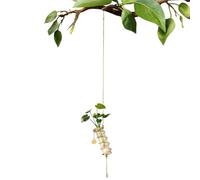 Glass Propagation Station - Clear Metal Wall Planter With Crystal Suncatcher | Perfect For Growing Plants And Adding Decorative Touch To Birthday Weekday Offices Bedroom Living Room Dorm Outdoor Garde