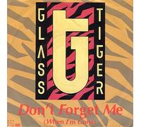 GLASS TIGER - DON'T FORGET ME 7 INCH (7" VINYL 45) SOUTH AFRICAN MANHATTAN 1986