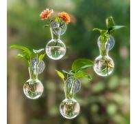 Glasseam Estación de Propagación de Plantas para Ventanas: 4 Jarrones Pequeños con Ventosas para Bulbos y Brotes para Decorar el Salón la Cocina - Macetero Colgante de Cristal para Hidropónicas