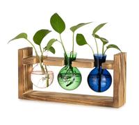Glasseam Estación de Propagación de Vidrio para Casa: Pequeño Florero de Bulbo para Decoración de Sala de Estar Cocina Centana y Escritorio - Terrario de Plantas con Jarrones de Capullos de Colores