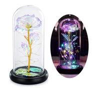 Glasseam La Bella Y La Bestia Rose En Cúpula De Cristal Luces LED Crystal Rose Flowers Regalo para Cumpleaños Aniversario San Valentín Boda Novia Esposa Mujeres