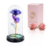 Glasseam La Bella Y La Bestia Rose En Cúpula De Cristal Luces LED Crystal Rose Flowers Regalo para Cumpleaños Aniversario San Valentín Boda Novia Esposa Mujeres