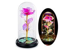 Glasseam La Bella Y La Bestia Se Levantó En Una Cúpula De Cristal con Luces LED Blancas Cálidas Flores De Cristal Eternas Regalo De Cumpleaños Encantada para Ella para El Aniversario