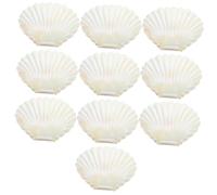GLEAVI 10 Cajas De De Boda Porta Con Conchas Tropicales - Estuche De Plástico Iridiscente Para Joyas Ideal Para Despedidas De Soltera En La Playa O Cumpleaños