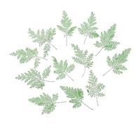 GLEAVI 48 Hojas Prensadas Naturales para Manualidades DIY, Hojas Secas sin Mal Olor, Color Verde, Material para Decorar Tu Hogar Aroma y Textura Duradera