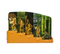 GLEAVI Juego de Rompecabezas Científico de Evolución, Modelo Didáctico de Bricolaje Piezas Múltiples, Material Seguro y Educativo para Aprendizaje en Preescolar