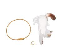 GLEAVI Llavero Botella Transparente para Guardar Pelo de Gato Caja Conmemorativa para Coleccionar Bigotes de Mascota Colgante Portátil para Recuerdos Felinos