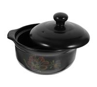 GLEAVI Olla de Cerámica para Guiso de Pollo Resistente Altas para y Arroces Uso Cocina Gas para Personas