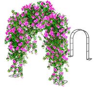 GLFNB Arco de jardín de Alta Resistencia, Soporte para Plantas trepadoras Grandes, Enrejado, pérgola, Arco de Arcos de Rosas de Metal, cenador de Enrejado Tubular antioxidante, Soporte de Flores p