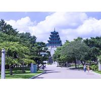 GLHUIOZ 1000 Puzzles para decoración del hogar, Puzzle para Adultos Museo Nacional de Parques de Corea del Sur Corea Seúl 75x50cm