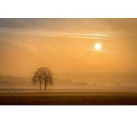 GLHUIOZ Puzle de 1000 Piezas,Puzzle para Adultos,Impossible Rompecabezas,Colorido Juego de Habilidad para Toda la Familia,a Partir de 6 años de Negocio Francia,Alsacia,Arbre,75x50cm