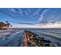 GLHUIOZ Puzle de 1500 Piezas Adultos,Impossible Rompecabezas,Colorido Juego de Habilidad para Toda la Familia,Puzzle para Adultos,Estados Unidos,Manatí,87x57cm