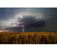 GLHUIOZ Puzle de 500 Piezas Adultos,Impossible Puzzle,Colorido Juego de Habilidades para Toda la Familia,Puzzle para Adultos,Campo,Estados Unidos,Kansas,52x38cm