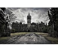 GLHUIOZ Puzle de 500 Piezas Adultos,Impossible Rompecabezas,Colorido Juego de Habilidad para Toda la Familia,Puzzle para Adultos,Castillo de la decadencia 52x38cm