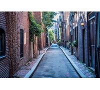 GLHUIOZ Puzle de 500 Piezas, puzle para Adultos, Impossible Rompecabezas, 500 Puzzles de decoración para el hogar, Boston, Estados Unidos 52x38cm