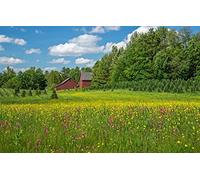 GLHUIOZ Puzle de 500 Piezas,puzle para Adultos,Impossible Rompecabezas,decoración para el hogar,New Hampshire,Belén,52x38cm