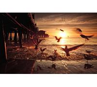 GLHUIOZ Puzzle 500 Piezas Adultos,Puzzles para Adultos,Rompecabezas de Piso Juego de Rompecabezas y Juego Familiar,Santa Mónica,52x38cm