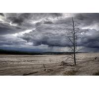 GLHUIOZ Puzzle 500 Piezas de Adultos y niños,Puzzle Adultos y niños,Rompecabezas difícil desafío Adulto del estrés Parque Nacional de Yellowstone,Sendero Natural Fountain Paintpots,52x38cm