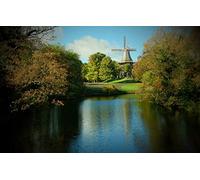 GLHUIOZ Puzzle 500 Piezas,Puzzle Arte,Puzzle para Adultos,Rompecabezas de Calidad,Tierra,Verde,Ciudad de Bremen,52x38cm