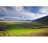 GLHUIOZ Puzzle 500 Piezas,Puzzles para Adultos,Puzzles Paisajes,Rompecabezas de Calidad,Italia,Umbría,Siega,52x38cm