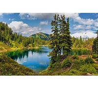 GLHUIOZ Puzzle 500 Piezas | Rompecabezas | Puzzle dificiles para Adultos | Estados Unidos,Whatcom,52x38cm