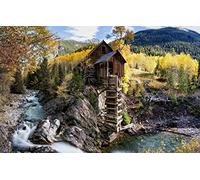 GLHUIOZ Puzzle de 1000 Piezas Adultos,Imposible Rompecabezas,Juego de Habilidad para Toda la Familia,Puzle para decoración del hogar. Estados Unidos,75x50cm