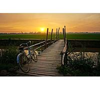 GLHUIOZ Puzzle de 1000 Piezas para Adultos,Rompecabezas clásicos,Campo,Bicicleta,Planta,75x50cm