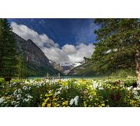 GLHUIOZ Puzzle de 1000 Piezas para Adultos,tivo Puzzle,Puzzles para Adultos y Niños Parque Nacional Banff,Canadá,75x50cm