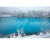 GLHUIOZ Puzzle de 500 Piezas Adultos,Imposible Rompecabezas,Juego de Habilidad para Toda la Familia,para decoración del hogar. Cuento de Hadas,Estanque,52x38cm